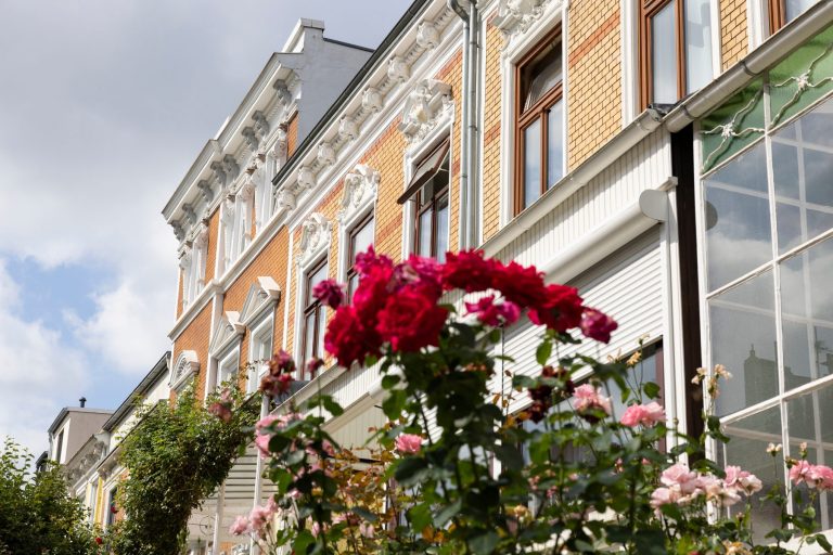 Rote und rosafarbene Rosen vor verschnörkelten, historischen Backsteingebäuden unter einem teilweise bewölkten Himmel in der Bremer Neustadt, perfekt für eine Pause während einer Kulinarischen Stadtführung.