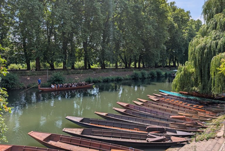 An einem ruhigen Flussufer in Münster reihen sich Holzboote aneinander; eine Gruppe von Entdeckern genießt einen Tag auf einer geführten Bootsfahrt unter üppigen, grünen Bäumen.